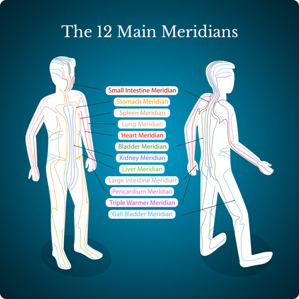 12-meridians-illustration-2.jpg