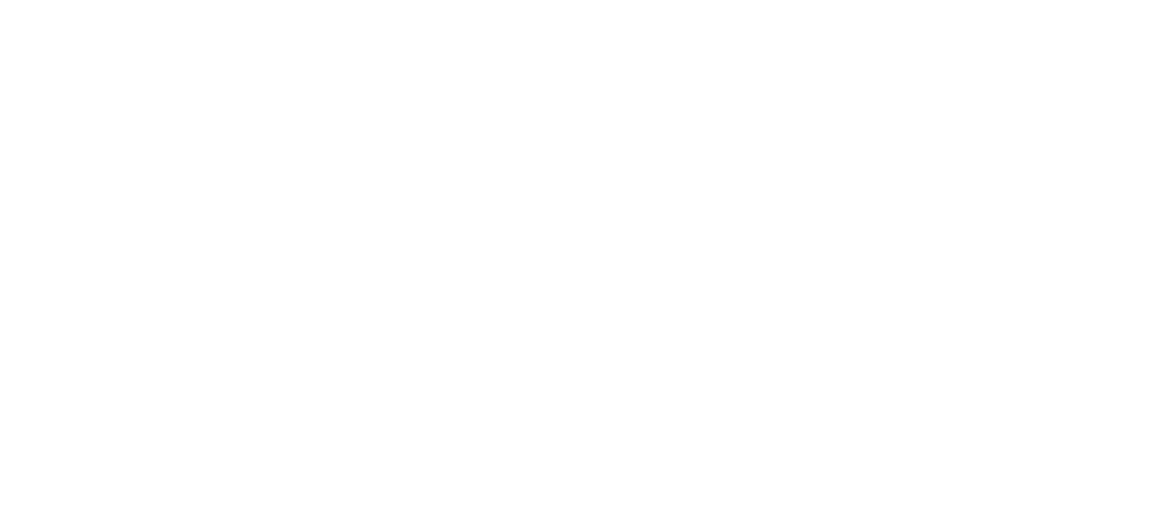 CIRRUS-MAX-cm.png