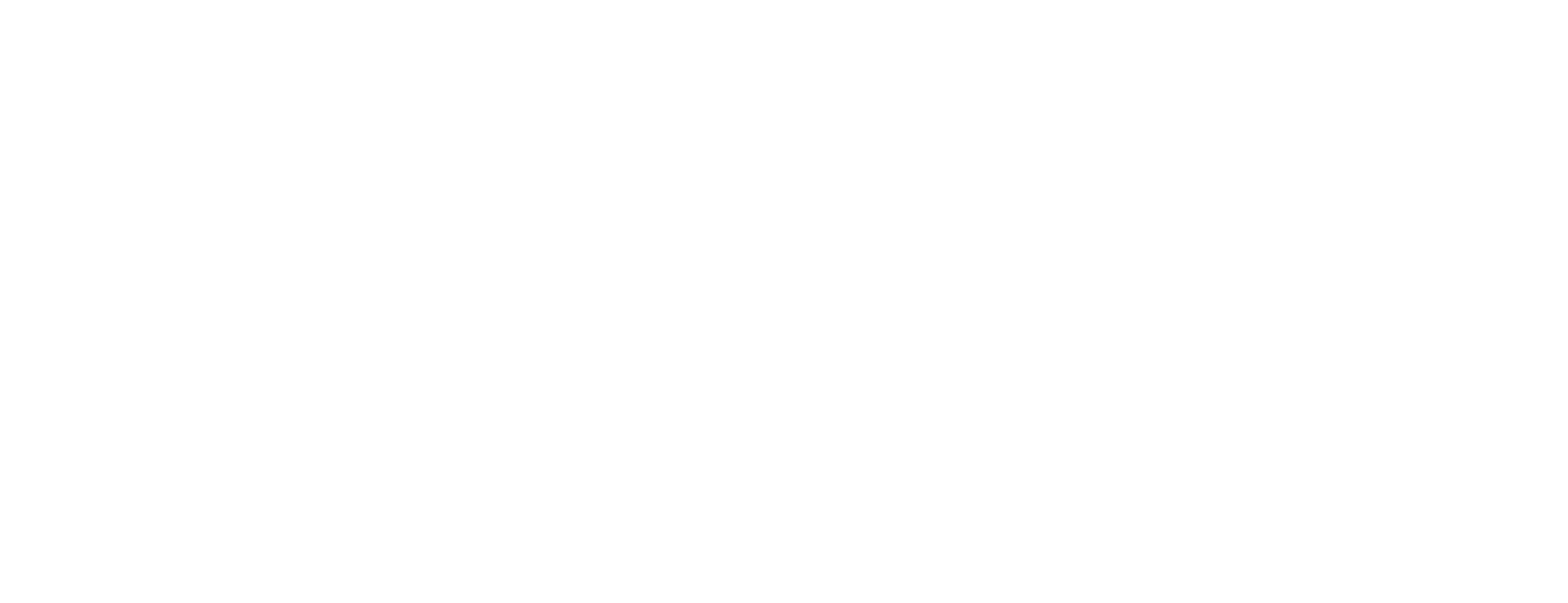 Vector-plus cm.png