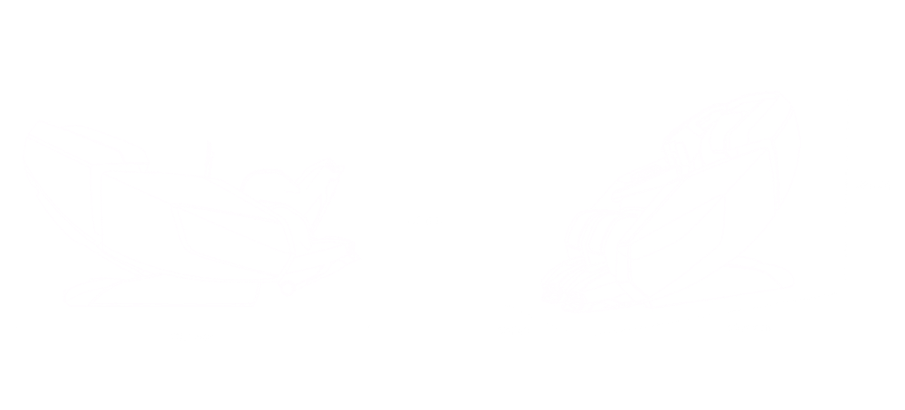 large_Prime_Robo_inch_a0422b8878.png